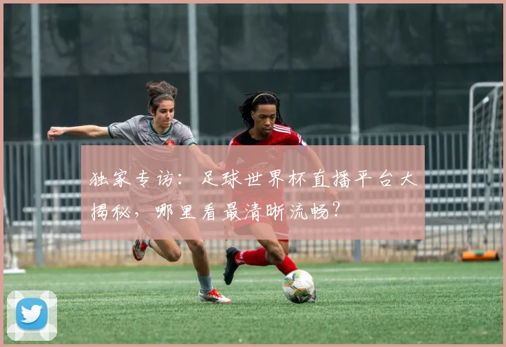 独家专访:足球世界杯直播平台大揭秘,哪里看最清晰流畅?
